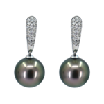 Diamond & black Tahitian Pearl Earring in white gold 18k
