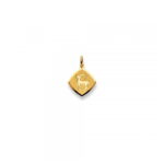 Pendentif signe du zodiaque Capricorne