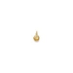 Zodiac Sign Pendant Leo