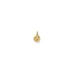 Zodiac Sign Pendant Pisces