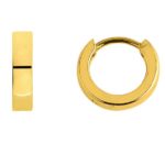 Hoop Earrings with 750 gold