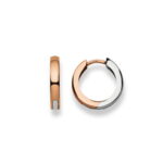 Hoop Earrings with 750 gold