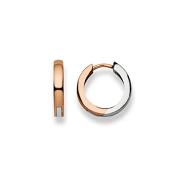 156404552 Hoop Earrings with 750 gold – Image 1