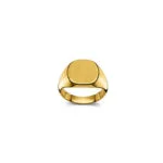 Bague Homme Classique en Or jaune 750